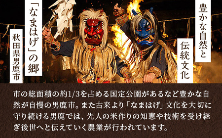 定期便 令和5年産 あきたこまち 精米 20kg 5kg×4袋 6ヶ月連続発送（合計 120kg） 秋田食糧卸販売