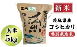 20-20茨城県産コシヒカリ特別栽培米5kg（玄米）