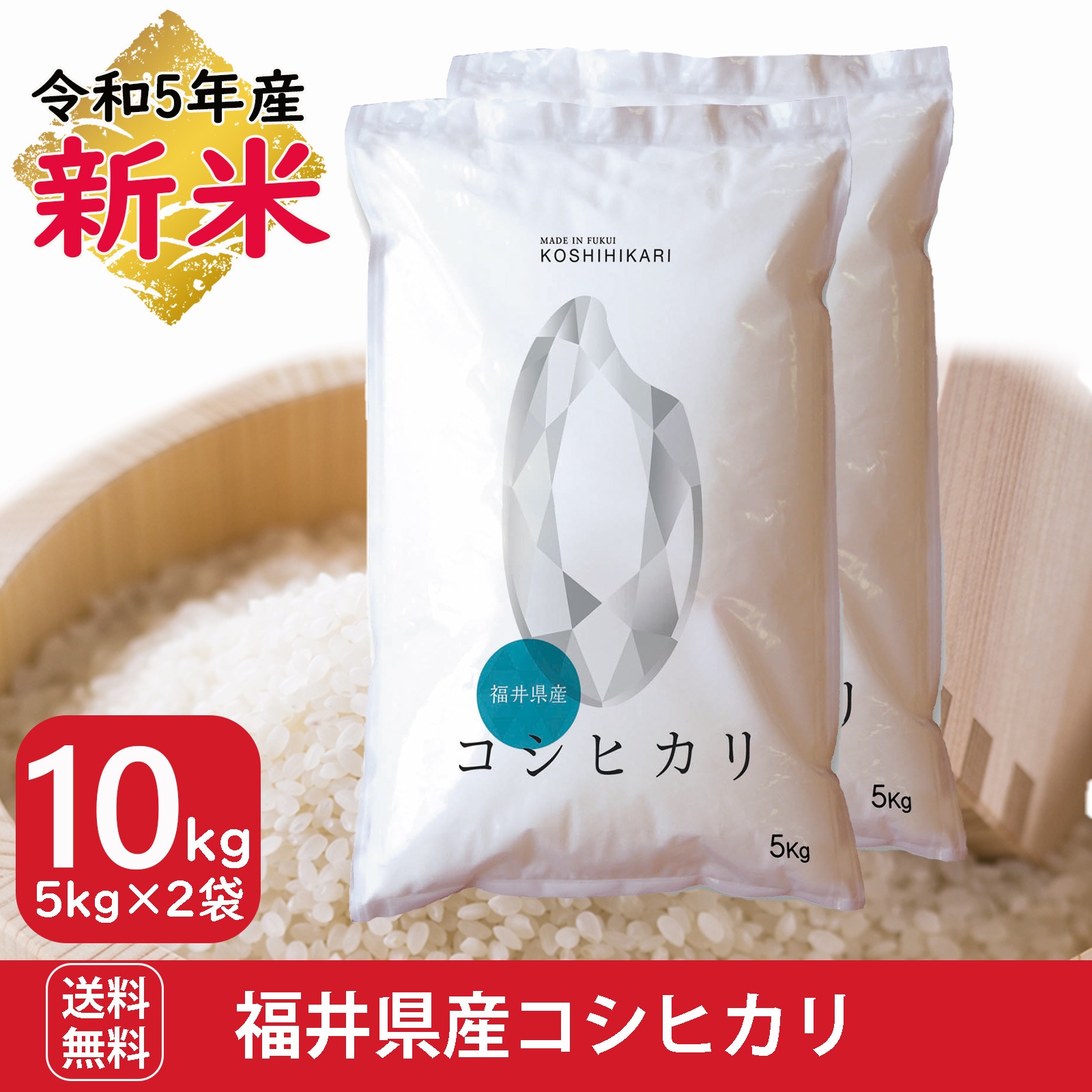 新米 福井県産コシヒカリ10kg(5kg2袋) 白米　令和5年産