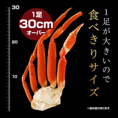 ふるさと納税 稚内市 本ズワイガニ足L〜2Lサイズ 食べきり2肩パック(約500g)