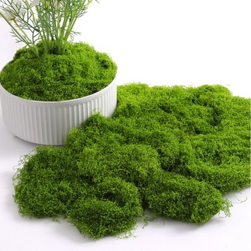 隔日到貨 現貨 仿真絲狀苔蘚 人造假青苔 假草絲 微景觀佈置草絲 擺件草坪 盆景盆栽造景 假鮮苔 假苔蘚 苔癬假青苔