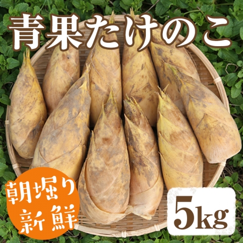 akune-5-33 ＜先行予約受付中！2024年3月から順次発送予定＞朝堀り青果たけのこ(約5kg)国産 鹿児島県産 新鮮 タケノコ 竹の子 筍 野菜 春 旬5-33
