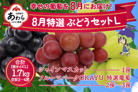 8月特選 ぶどうセットL 1.7kg以上（3～4房）／ 葡萄 シャインマスカット シャイン 品種 おまかせ あわら 農家おすすめ ※2024年8月より順次発送