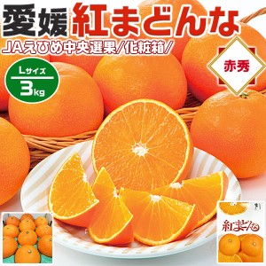 高級 みかん 紅まどんな JAえひめ中央 赤秀 Lサイズ 3kg 贈答用・化粧箱 1箱 完熟 愛媛県産 JA正規品…