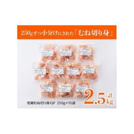 ふるさと納税 宮崎県産若鶏ムネ切身IQF 2.5kg (250ｇ×10袋) 肉 鶏 鶏肉 国産鶏肉 九州産鶏肉 宮崎県産鶏肉 宮崎県川南町