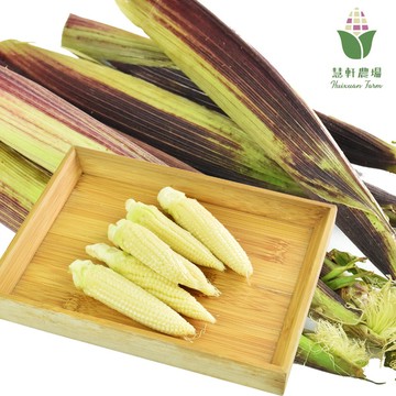 【慧軒農場】買5斤送5斤，黑寶玉米筍