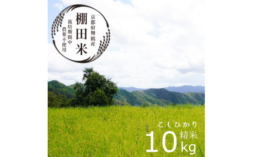棚田米10kg 精米 コシヒカリ 栽培期間中農薬不使用 京都産