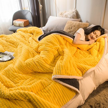 珊瑚絨毛毯被子加厚冬季保暖羊羔絨毯子床單人宿舍學生法蘭絨蓋毯