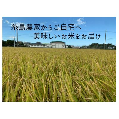 ふるさと納税 糸島市 天日干し ひのひかり2kg