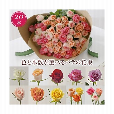 バラ 花束 10本 モダンローズ 選べる10カラー レッド オレンジ ピンク ホワイト バイオレット イエロー ミックス 花 生花 ギフト フラワーギフト プレゼント 通販 Lineポイント最大get Lineショッピング