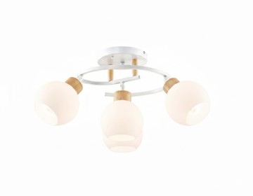 【燈王的店】維也納 半吸頂3+1燈 客廳燈 房間燈 餐廳燈 23134