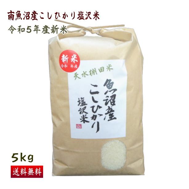 送料無料 （令和5年新米） 南魚沼産 コシヒカリ 塩沢米 5ｋｇ 精米 産地直送 こしひかり 白米