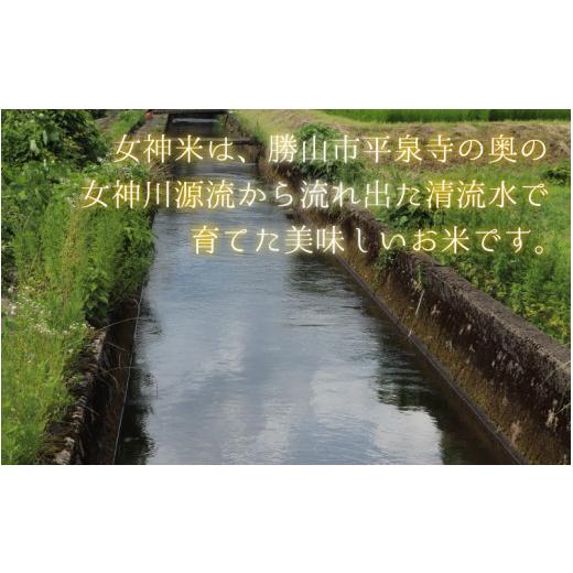 ふるさと納税 福井県 勝山市 令和5年産 コシヒカリ 勝山産女神（おながみ）米 10kg×1袋 [B-042002]