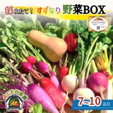 すずなり採れたて野菜BOX(冬野菜セット)80サイズ　