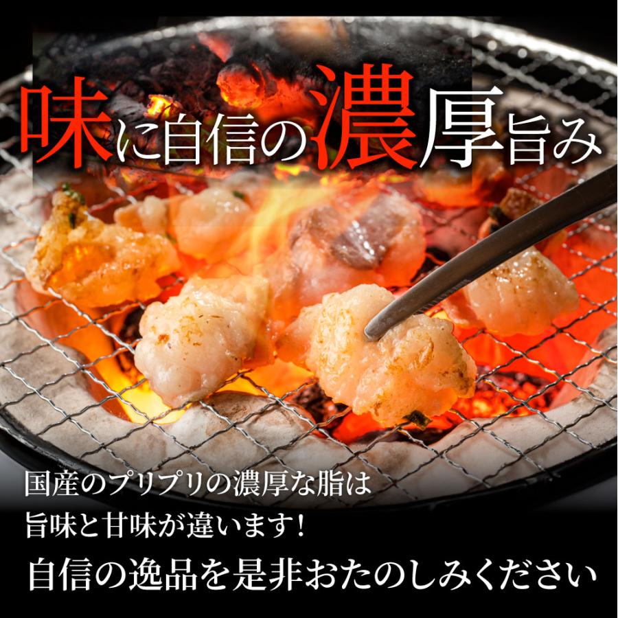 国産牛 ホルモン 240g ほるもん 小腸 焼肉用 お得 焼肉 やきにく アウトドア お家焼肉 レジャー 冷凍