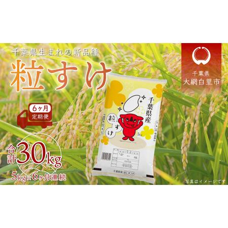 ふるさと納税 ＜6ヶ月定期便＞千葉県産「粒すけ」5kg×6ヶ月連続 計30kg   どっちのふるさと TV フジテレビ 新米粒すけ 令和5年産粒すけ.. 千葉県大網白里市