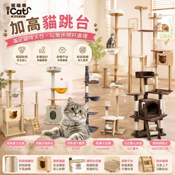icat 寵喵樂 加高貓跳台 台灣出貨 木紋簡約 實木 多層加高 太空艙多層 通天柱貓跳台 貓跳台✨Q寶貝寵物✨