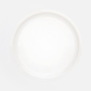 ZONE Eau白瓷平盤25.5cm 象牙白