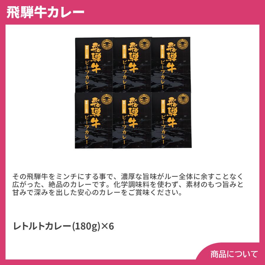 岐阜 飛騨牛カレー プレゼント ギフト 内祝 御祝 贈答用 送料無料 お歳暮 御歳暮 お中元 御中元