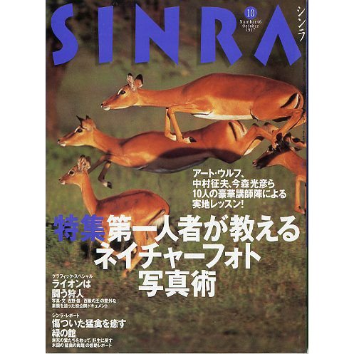 ＳＩＮＲＡ（シンラ）　　１９９７年１０月　　＜送料無料・指定日お届け不可＞