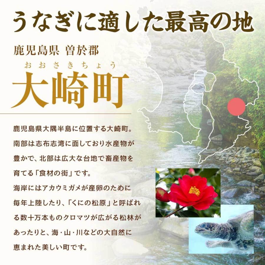 国産 うなぎ 蒲焼き メガ盛り 約140g×8尾セット 鹿児島県産 送料無料 ギフト