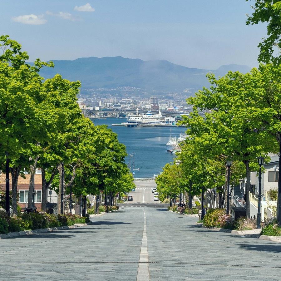 松前漬け　北海道　箱館海鮮松前漬 ずわいがに ほたて いくら　豪華海鮮づくし