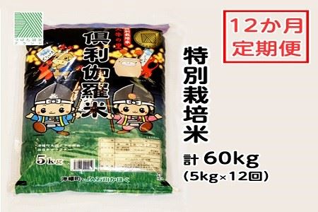 特別栽培米　火牛の里「倶利伽羅米」（５ｋｇ）定期便１２回