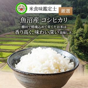 ふるさと納税 令和5年産 無洗米 米食味鑑定士 厳選 魚沼産 コシヒカリ 3kg （ 米 こしひかり お米 新潟 魚沼 魚沼産コシヒカリ 魚沼産こしひかり.. 新潟県魚沼市