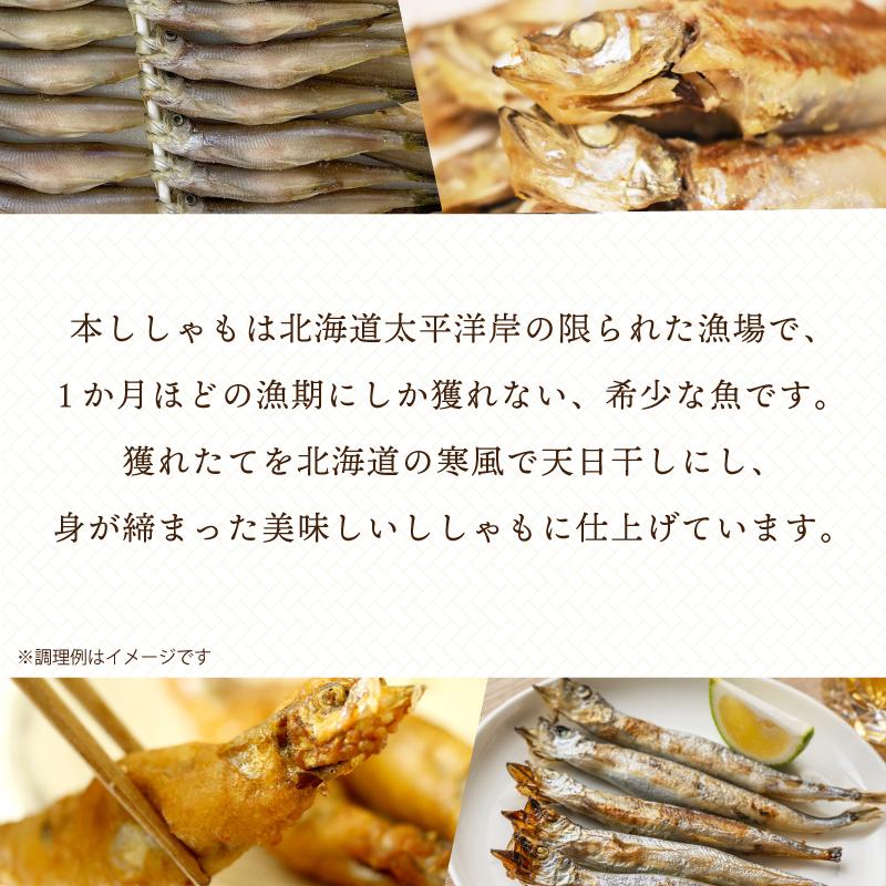 北海道産 本ししゃも メス 30尾入 子持ちししゃも シシャモ 柳葉魚 送料無料