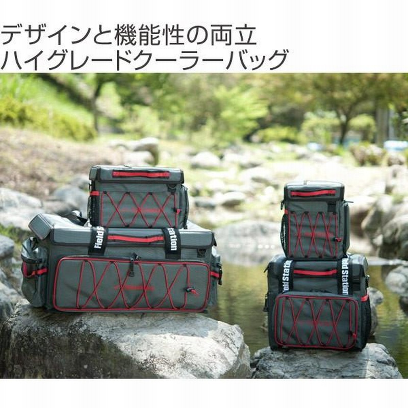  peak クーラーバッグ 2個セット クーラーバッグ ソフトクーラー EXEクーラーバッグ 2ボトル