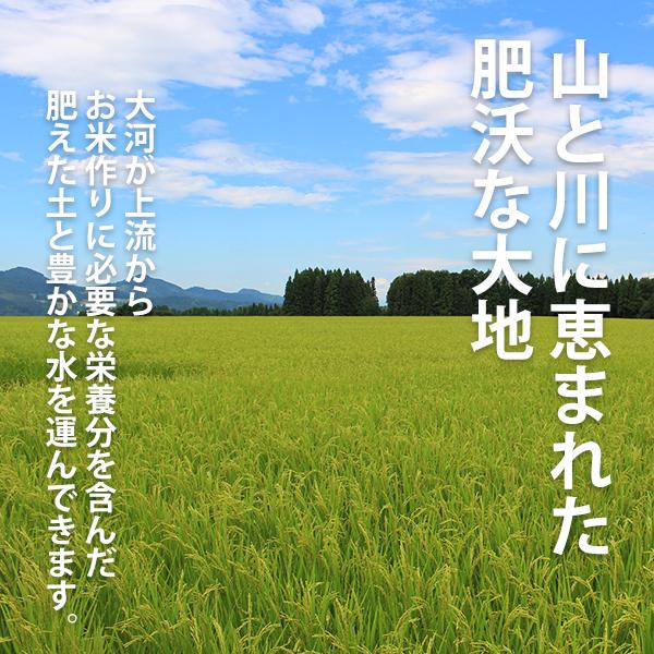 魚沼産コシヒカリ 令和5年 新米  令和5年 新米   極上 特別栽培米 低農薬 5kg 5キロ   うるち米（精白米） コシヒカリ プレゼント