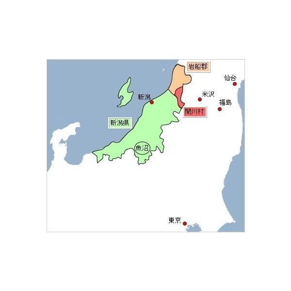 米　令和5年度産　新潟県　岩船産　コシヒカリ 1kg