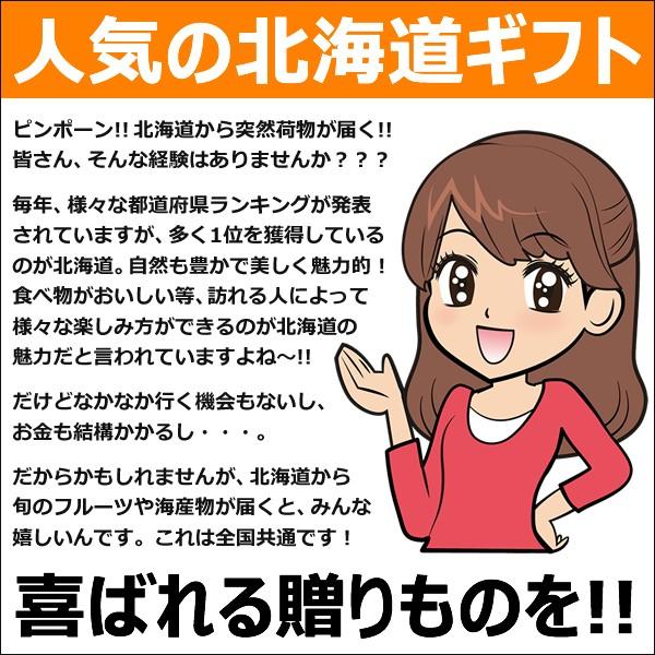 北海道 メロン 富良野メロン 5玉 (JAふらの共撰 秀品 1玉 1.6kg) ギフト 贈り物 残暑見舞い 果物 フルーツ 北海道 送料無料 お取り寄せ