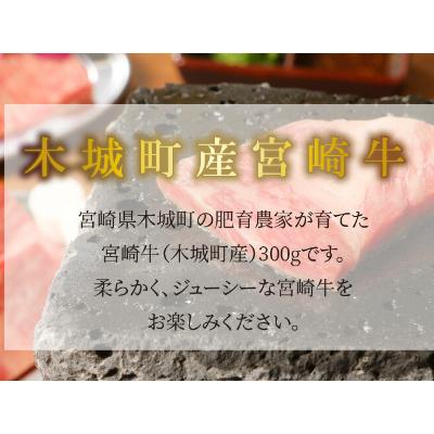 ふるさと納税 木城町 宮崎牛　ロース焼肉用　300g