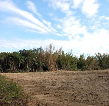 君君精選歸仁崙頂1.2分超值美農地｜台南市歸仁區崙頂段