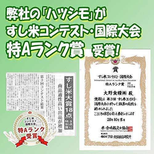 岐阜県産 ハツシモ 玄米 分づき精米無料 令和4年産 (玄米のまま, 10kg)