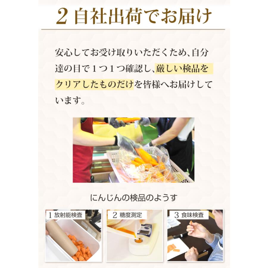 人参 無農薬にんじん 野菜セット 無農薬野菜 にんじんジュース ジュース用 8kg＋りんご3kg＋レモン1kg ゲルソン療法にも最適 訳あり