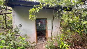 東山272坪丙建｜台南市東山區崎子頭段