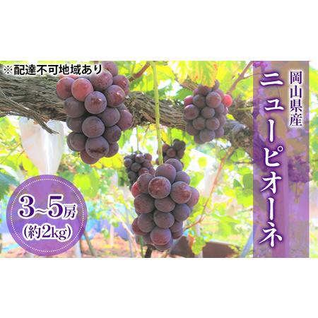 ふるさと納税 ぶどう 2024年 先行予約 ニューピオーネ （ 種無し ）約2kg（3〜5房） ブドウ 葡萄 岡山県 国産 フルーツ 果物 ギフト 岡山県里庄町