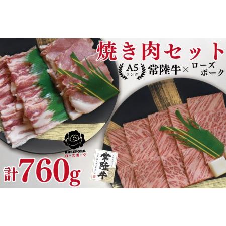 ふるさと納税 EK-48常陸牛カルビ360ｇ＋ローズポーク400ｇ（ロース200ｇ・ばら200ｇ） 茨城県水戸市