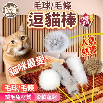 仿真兔毛逗貓棒【布萊恩👨🏻隔日到貨】逗貓棒 貓咪玩具 逗貓杆 羽毛逗貓棒 兔毛逗貓棒 寵物玩具 人寵互動 毛球逗貓棒