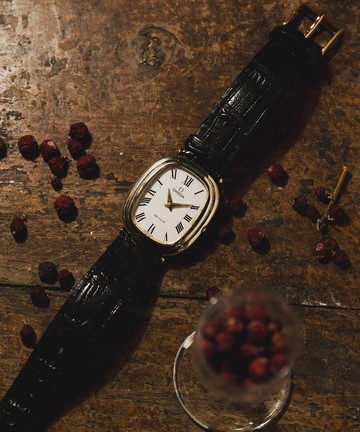 Omega DeVille系列腕錶 銀 &14K鍍金