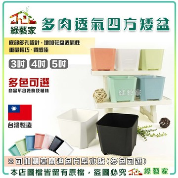 【綠藝家】多肉透氣四方矮盆(矮) 多種尺寸顏色可選 可加購莫蘭迪色方型水盤 透氣盆 花盆 多肉盆 育苗盆 塑膠