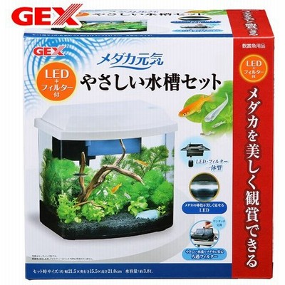 安心の定価販売 水槽セット 初心者でも安心ベタの飼育セット Ledライト付き セット Labelians Fr