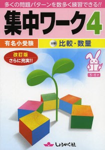 有名小受験集中ワーク 5・6才