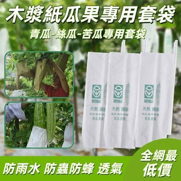 💥免運出貨💖水果紙套袋 防蟲套袋 100入 刀型套袋芒果套袋 苦瓜套袋 防蟲袋 套袋 水果套袋 蔬果套 水果紙袋