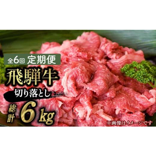 ふるさと納税 岐阜県 多治見市  切り落とし 1kg × 6回 計 6kg )≪多治見市≫ 和牛 ブランド牛 国産 [TAZ016]