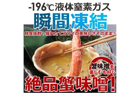 特大ボイルズワイ蟹姿　750ｇ ※着日指定不可◇