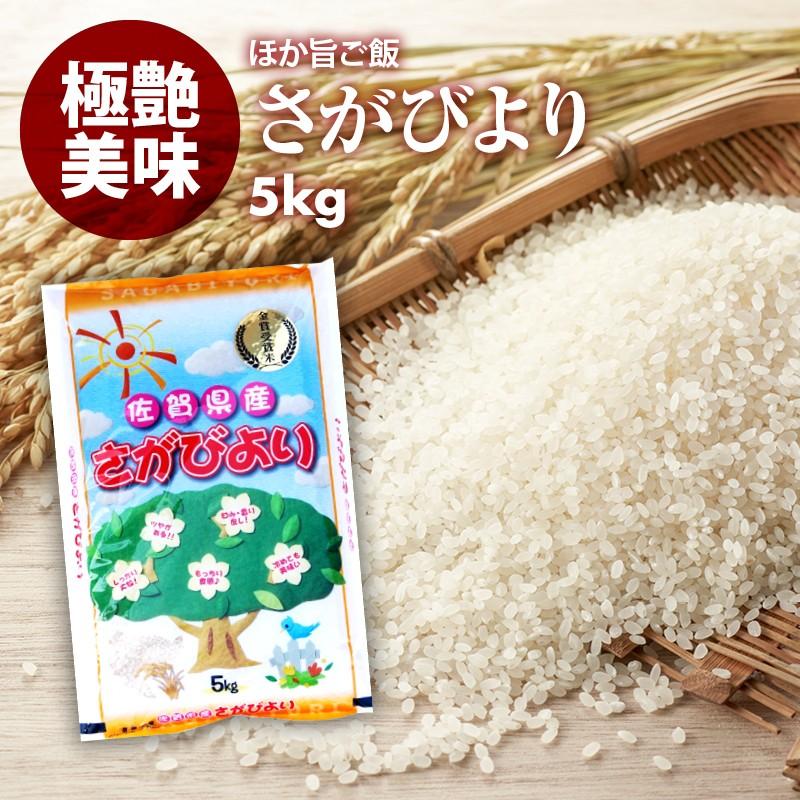 無洗米 プロが選ぶ厳選 一等米 米 食味ランク 特A さがびより 5kg 精米 佐賀県産