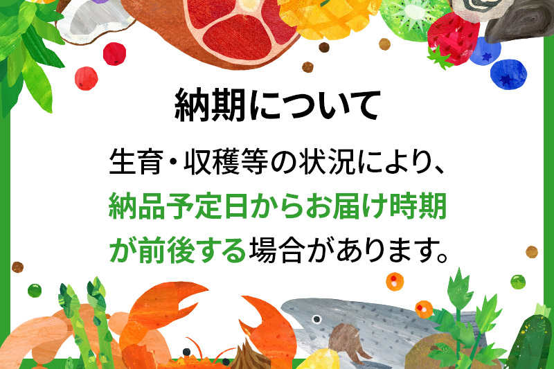 山菜 ふきのとう 100g×4パック 天然 （発送は3月～4月頃）|08_tys-130401